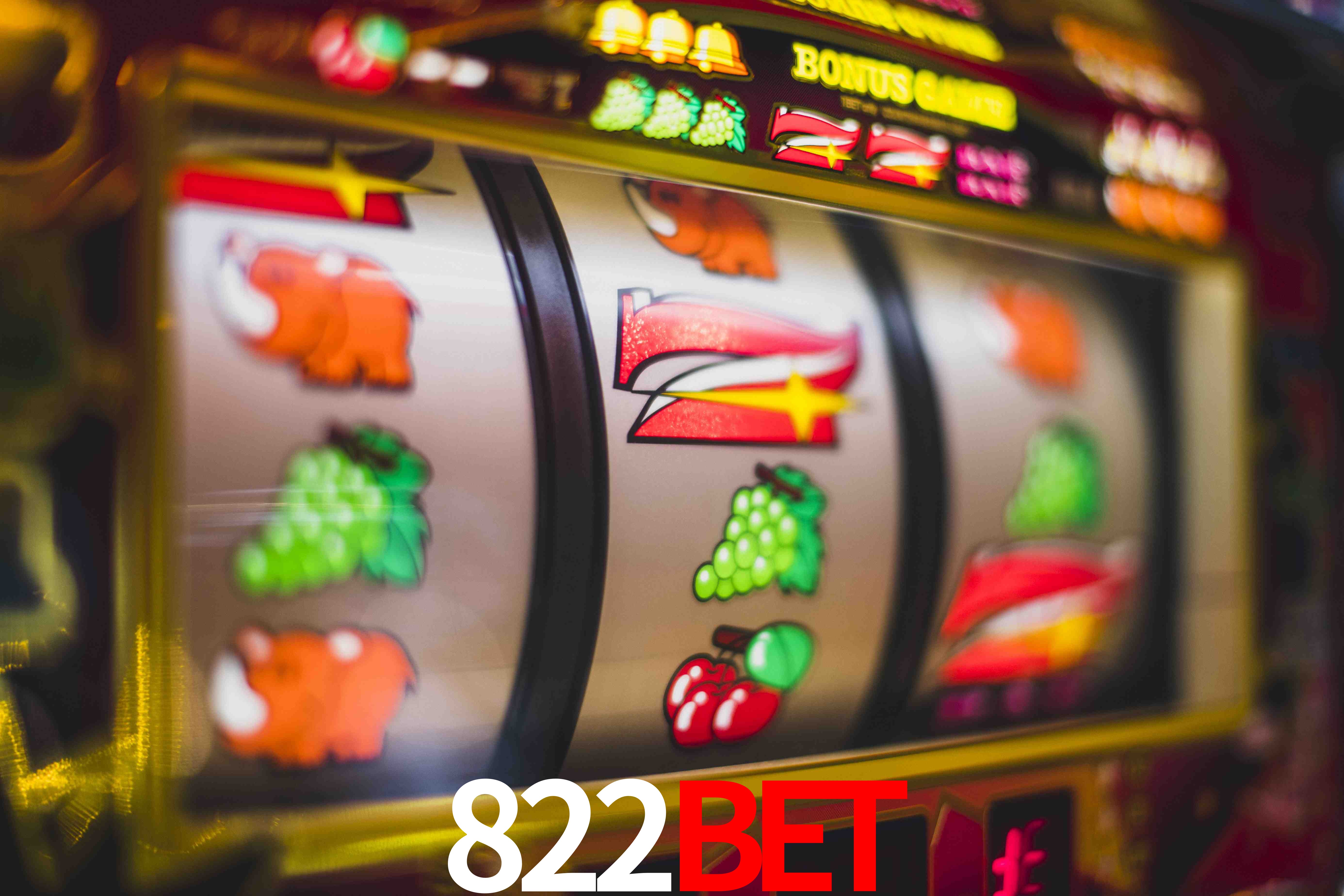 Sports Statistics 822BET